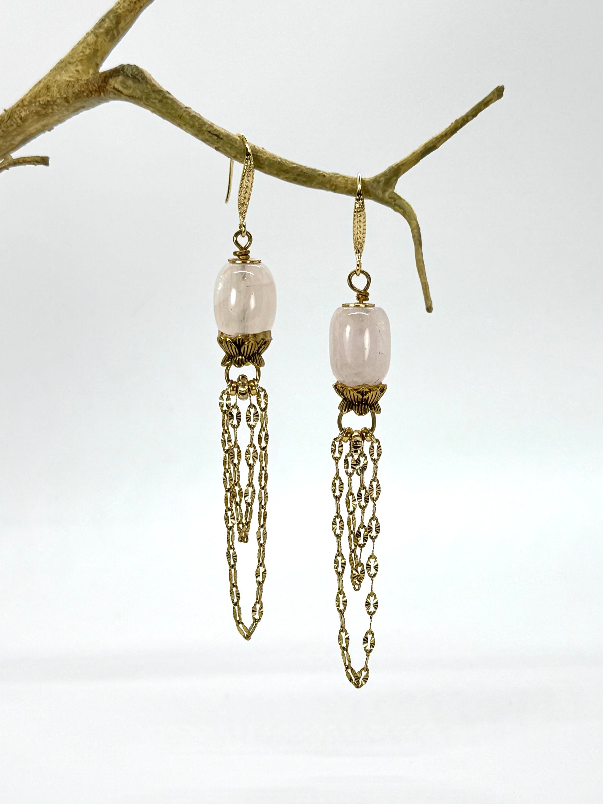 Pair of earrings with chain details hanging from a branch on a white background